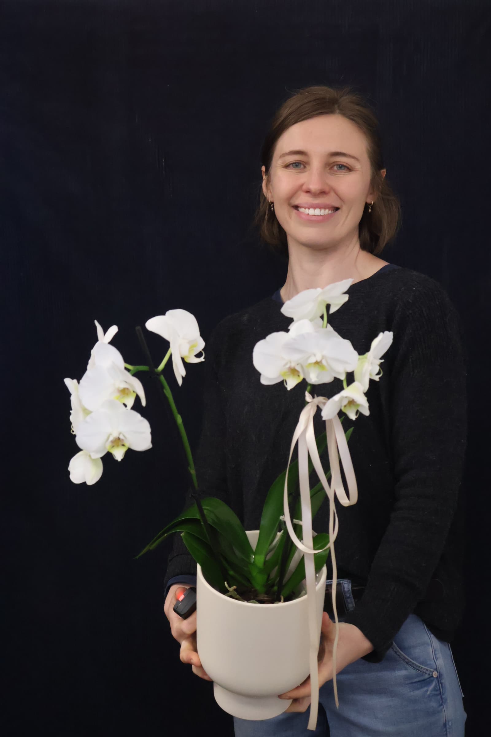 Real Plant | Phalae Orchid Standard order made by Amy's Flowers