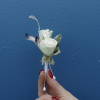 Buttonhole | Fresh Rose