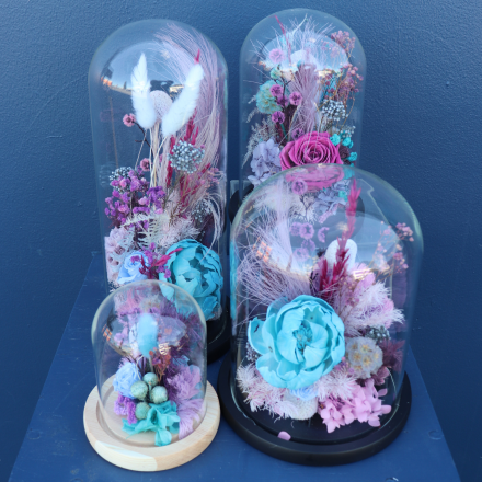 Preserved Dome | Cha-Cha