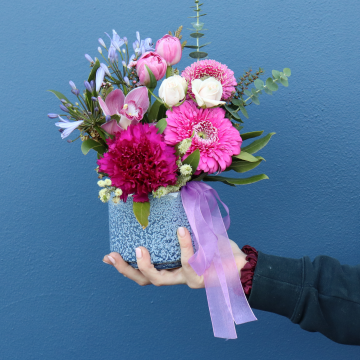 BEST BUY | Mini Meadow 