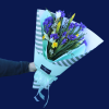 BEST BUY | All About Iris