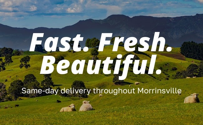 Fast. Fresh. Beautiful. Same day delivery throughout Morrinsville.