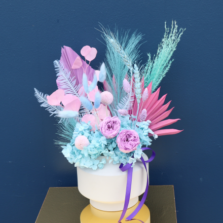 Preserved Arrangement | Cha-cha