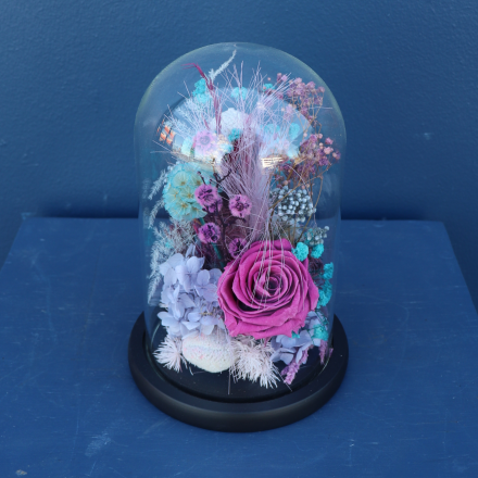 Preserved Dome | Cha-Cha