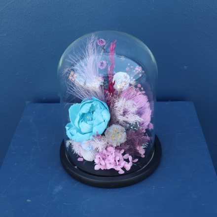 Preserved Dome | Cha-Cha