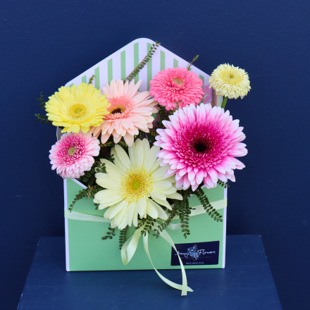 Arrangement | Daisy Chain