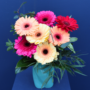 BEST BUY | Darlin Daisy 