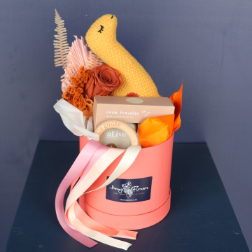 Baby Hamper | Dino MIte 
