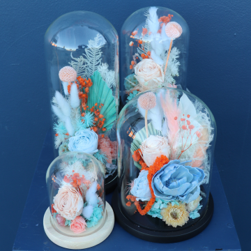 Preserved Dome | Foxtrot