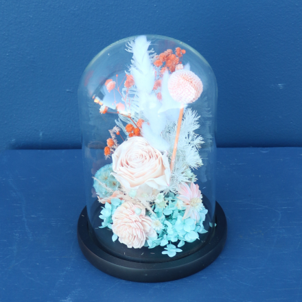 Preserved Dome | Foxtrot