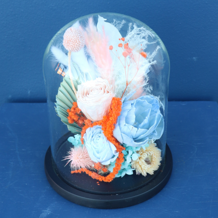 Preserved Dome | Foxtrot