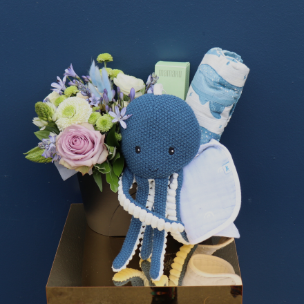 Baby Hamper | Oceans of Love