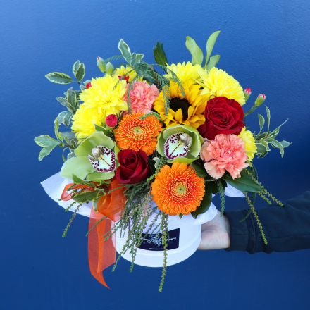 Hatbox | Sending Sunshine