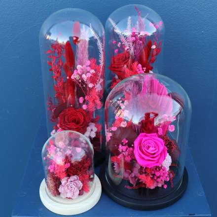 Preserved Dome | Tango 