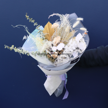 Preserved Bq | VENICE 