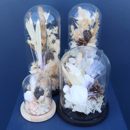 Preserved Dome | Vienna Waltz