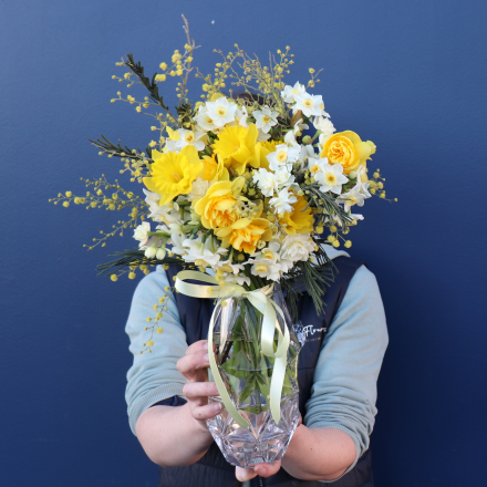 BEST BUY | Darling Daffodil 