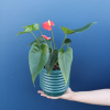 Plant | Anthurium Large 