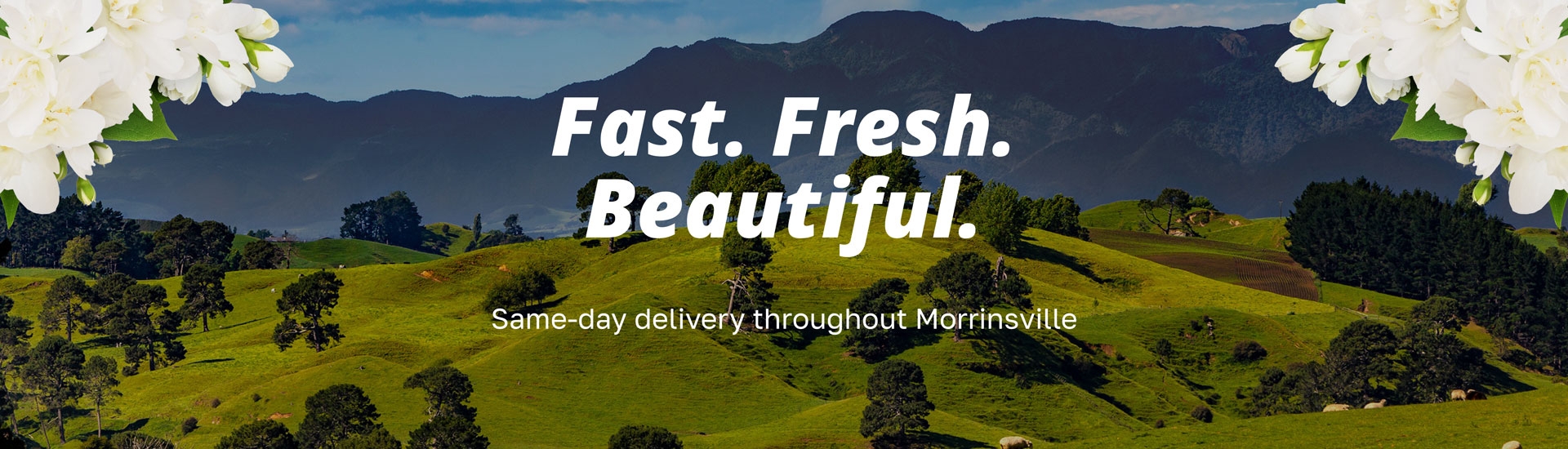 Fast. Fresh. Beautiful. Same day delivery throughout Morrinsville.