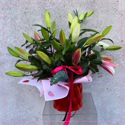 M'Day | Cherry on Top 