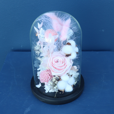 Preserved Dome | Flamenco