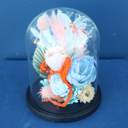 Preserved Dome | Foxtrot